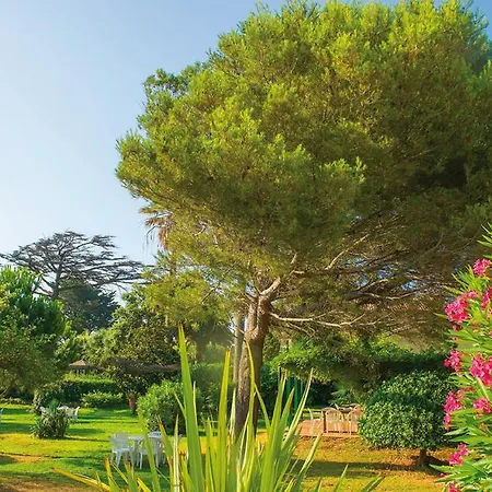 Vvf Golfe De Saint-tropez Sainte-Maxime