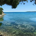 Vvf Golfe De Saint-tropez